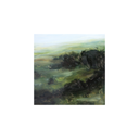 Wetlands | 8x8